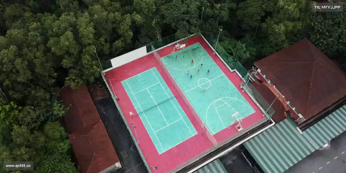 行业领先的理由